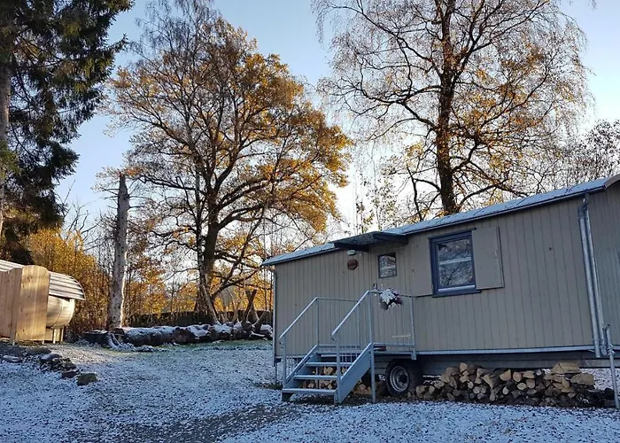 Daire Wagenburg-solling *