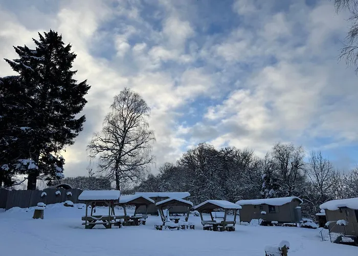 Daire Wagenburg-solling *